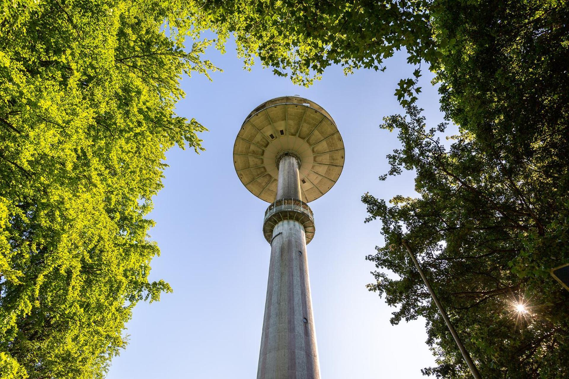 Ferienhaus Am Moenchneversdorfer See Schonwalde am Bungsberg Exterior foto